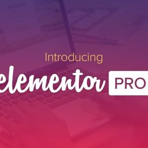 Elementor Pro Website Builder