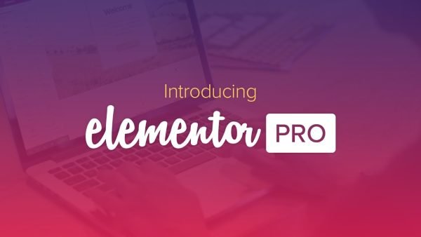 Elementor Pro Website Builder